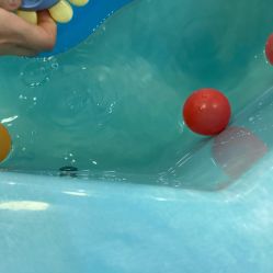 -鱼乐贝贝婴幼儿水育馆(高桥红坊店)