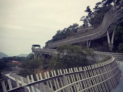 -福道