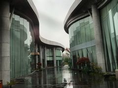 -合肥滨湖国家森林公园