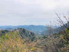 -大岭沟猕猴桃谷风景区