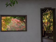 -秋霞圃