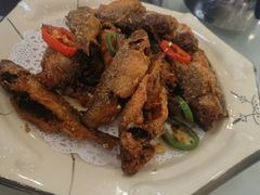 -麦园农庄·西江河鲜