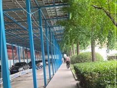 -中国人民解放军空军特色医学中心(空军总医院)