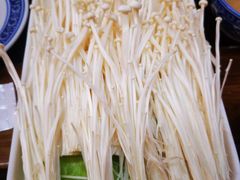 精选金针菇-清真·京华源铜锅涮肉(丰庆店)