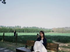 -汉长安城未央宫国家考古遗址公园