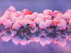 -罗红摄影艺术馆