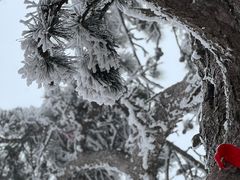-华山风景名胜区
