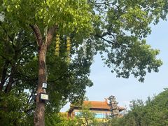 -南京市江宁方山