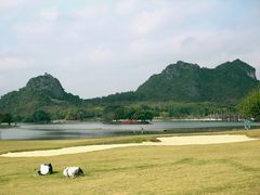 -南宁花花大世界景区