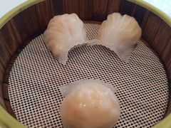 -茉里乐章(花园店)