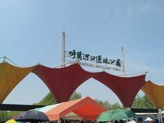 -呼兰河口湿地公园