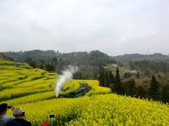 -嘉州九妹凤爪(乐山总店)