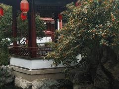 -祝家花園(伯渎港店)
