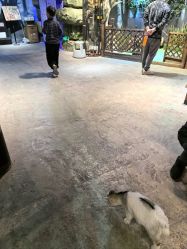 -酷嗒动物文化乐园(cutezoo西溪乐天城店)