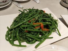 佛手瓜苗-粤北餐馆