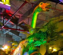 -恐龙探索乐园(磁器口店)
