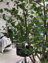 -付军剪艺JF ProSalon
