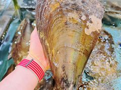 -金迎海鲜酒家(金凤凰广场店)