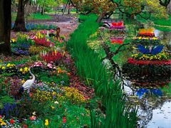 -上海共青森林公园