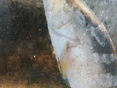 -海胆公主南澳岛美食海鲜