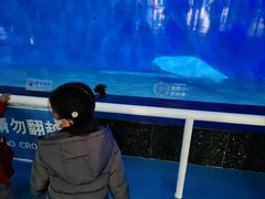 -泉城欧乐堡海洋极地世界