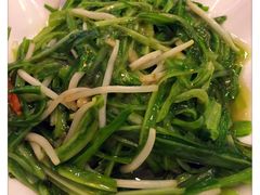 -文东记(马里士他路)