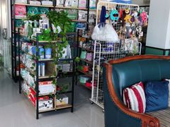 -欧奕国际动物医院