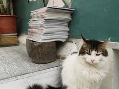 -小时光咖啡馆(北锣鼓巷店)
