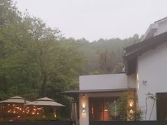 -青桃餐厅