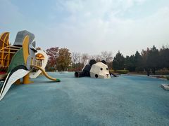-青龙湖公园