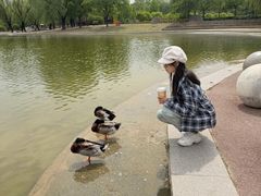 -太阳宫公园