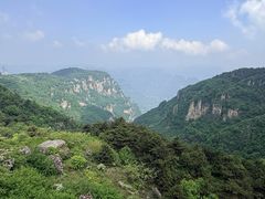 -王莽岭风景区