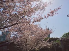 -玉山公园