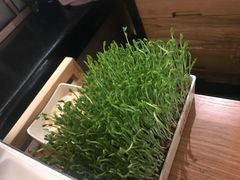-左庭右院鲜牛肉火锅(浦江欢乐颂店)