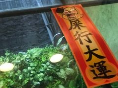 -无牌咖啡&酒馆