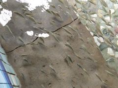 -汤峪温泉碧水湾