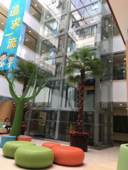 -上海浦滨儿童医院