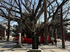 -浮来山风景区