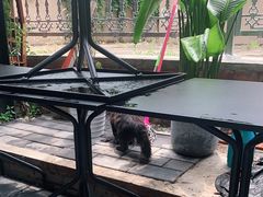 -La Medina餐厅(亮马河南路店)