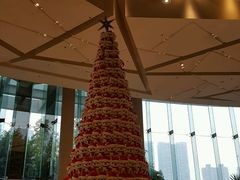 -成都世纪城假日酒店-西楼