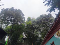 -青羊宫