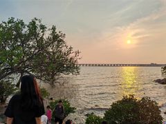 -宝安西湾红树林湿地公园