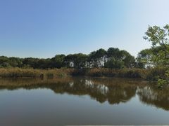 -西湖风景区-江洋畈生态公园