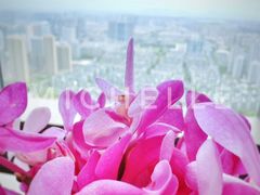 -杭州柏悦酒店·悅厅