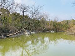 -上海吴淞炮台湾国家湿地公园