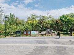 -莲花池公园