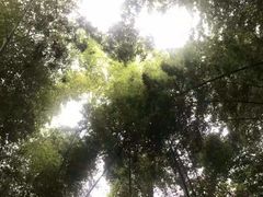 -敬亭山风景名胜区