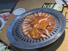 -守柴炉烤鸭(乐山万达店)