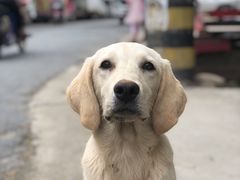 -太原东方动物医院(小店分院)
