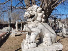 -北京石刻艺术博物馆(五塔寺)